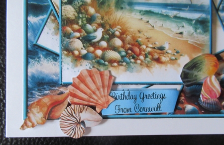 SEA SHELLS CRAFT SHEET by Davina Rundle