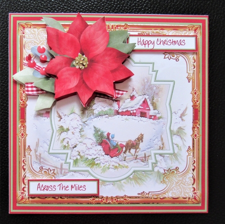 Red poinsettia 7x7 card by Davina Rundle