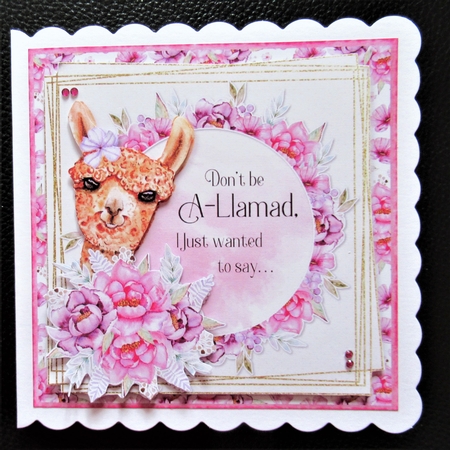 More Than Words Can Say 18 Card Front and Inserts Kit by Davina Rundle