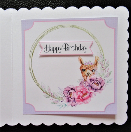 More Than Words Can Say 18 Card Front and Inserts Kit by Davina Rundle