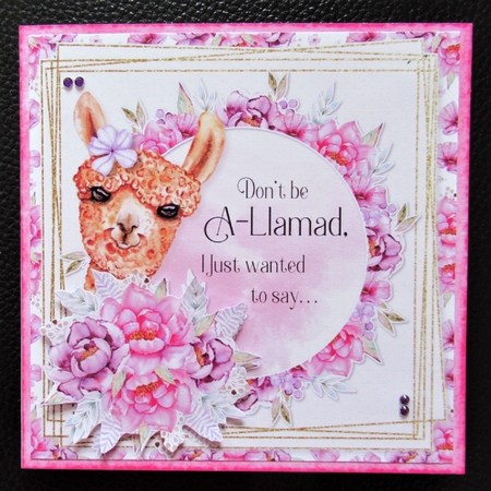 More Than Words Can Say 18 Card Front and Inserts Kit by Davina Rundle