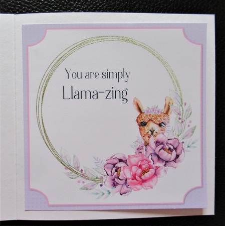 More Than Words Can Say 18 Card Front and Inserts Kit by Davina Rundle