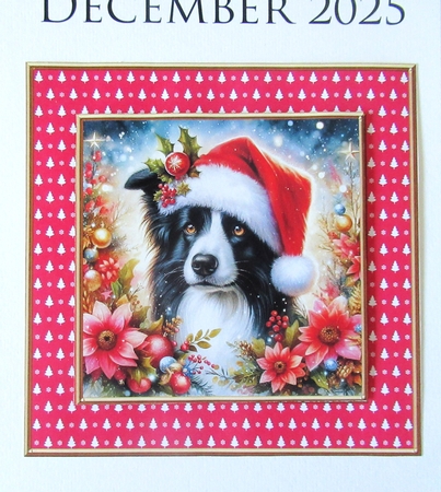 Frames Set 2 (Christmas Time Colors) by Davina Rundle