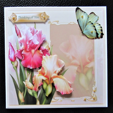 Iris and butterfly 6x6 card by Davina Rundle