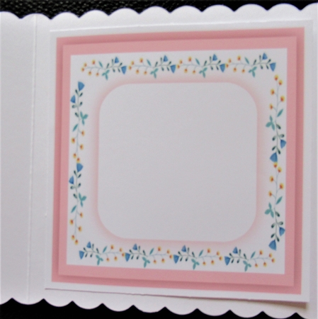 Blank Insert, Pink by Davina Rundle
