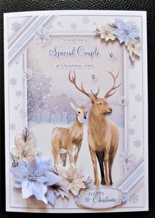 Christmas Wishes for a Special Couple by Davina Rundle