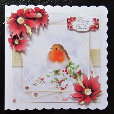 Winter Wonderland 20...11 Robin by Davina Rundle