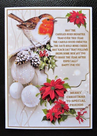 A traditional Christmas Robin A5 by Davina Rundle