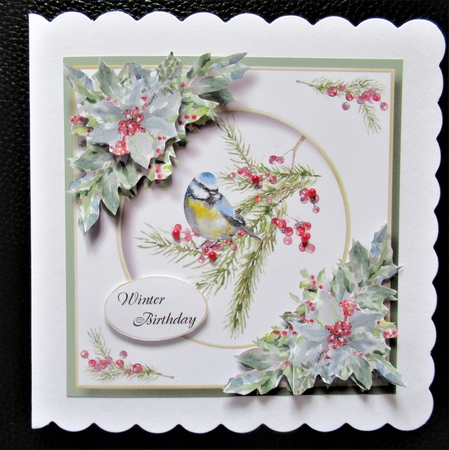 Beautiful Watercolour Bird At Christmas 1 by Davina Rundle