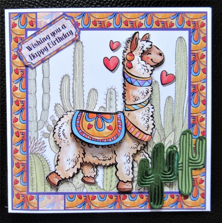 Alpaca Celebrations by Davina Rundle