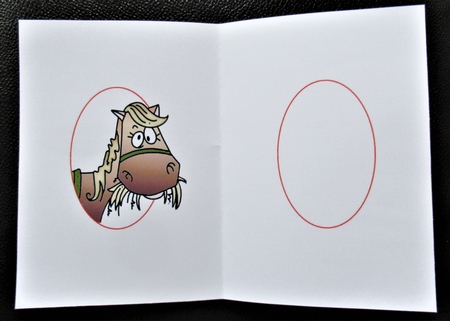 Hey there happy birthday  insert by Davina Rundle