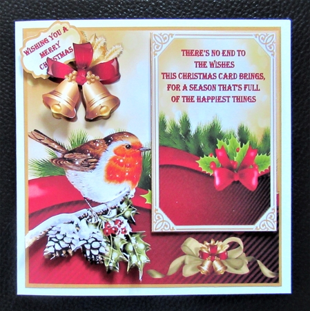 Robin sends Christmas wishes by Davina Rundle