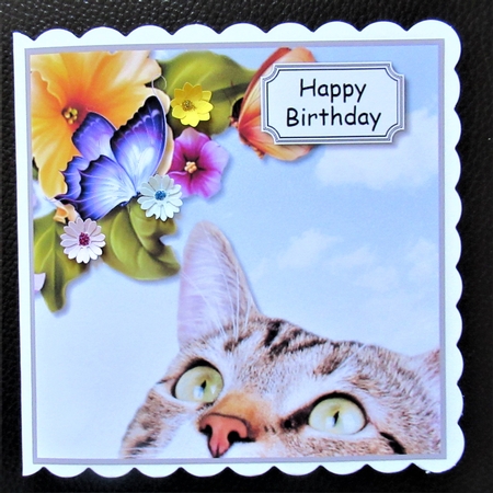 Cat Birthday with butterfly by Davina Rundle