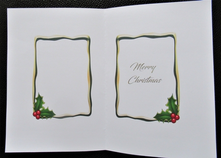 Holly & gold rectangle insert by Davina Rundle