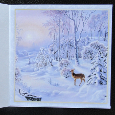 Winter Half Front Card 2 by Davina Rundle