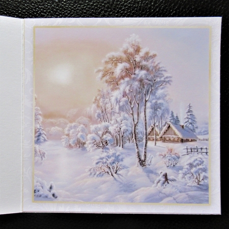 Winter Half Front Card 4 by Davina Rundle
