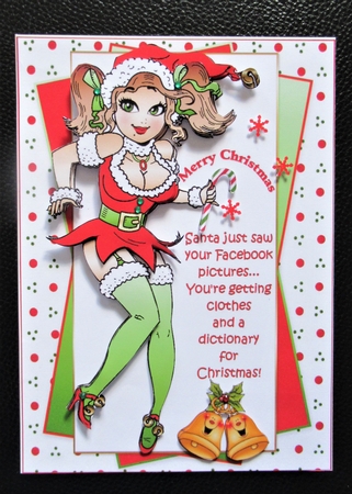 Santa has seen your FB pics mini kit by Davina Rundle