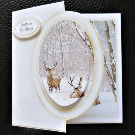 Winter Half Front Card 6 by Davina Rundle