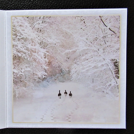 Winter Half Front Card 7 by Davina Rundle