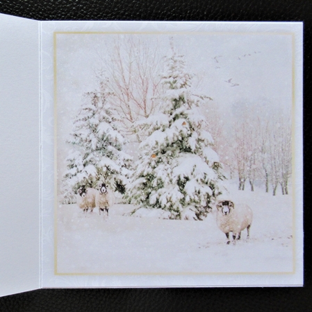 Winter Half Front Card 8 by Davina Rundle