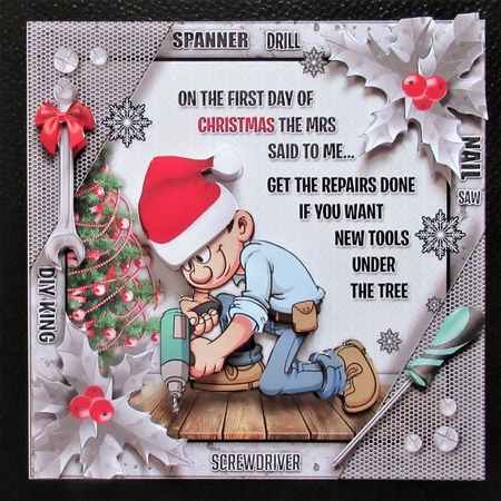 On The 1st Day Of Christmas The Mrs Said To Me... by Davina Rundle