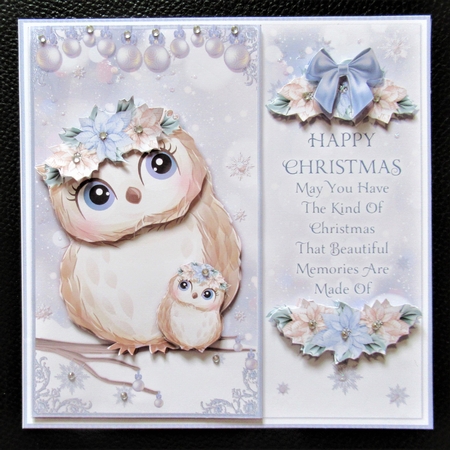 The Christmas Owls by Davina Rundle