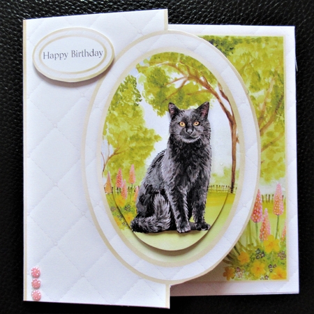 Cat Half Front Card 4 by Davina Rundle