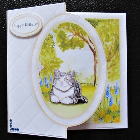 Cat Half Front Card 8 by Davina Rundle