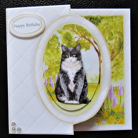 Cat Half Front Card 9 by Davina Rundle