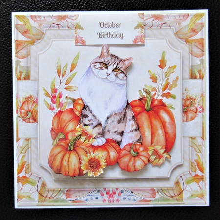 Pumpkin Puss Mini Kit by Davina Rundle