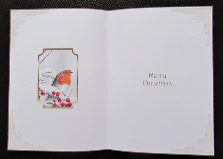 Christmas Snow Robin Insert 1 by Davina Rundle