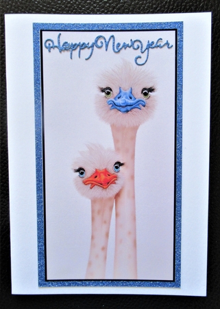 2021 Calendar 2 Cute Emus by Davina Rundle
