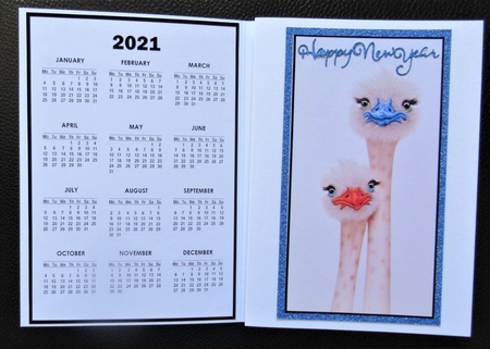 2021 Calendar 2 Cute Emus by Davina Rundle