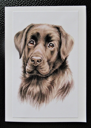 2021 Calendar Bertie by Davina Rundle