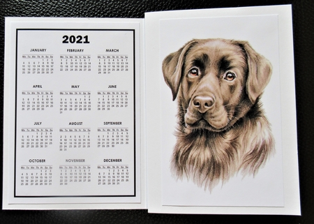 2021 Calendar Bertie by Davina Rundle
