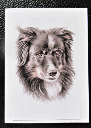 2021 Calendar Collie by Davina Rundle
