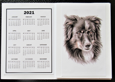 2021 Calendar Collie by Davina Rundle