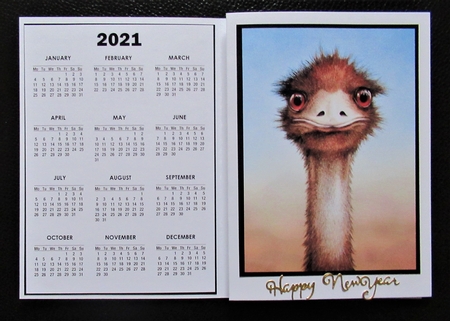 2021 Calendar Ostrich by Davina Rundle