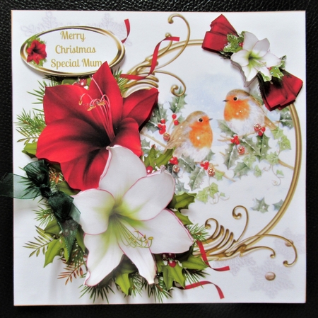 8x8 Christmas Robin with amaryllis mini kit 2 by Davina Rundle