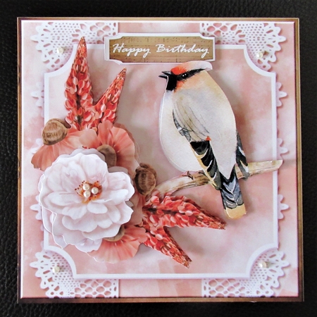 Precious Bird by Davina Rundle