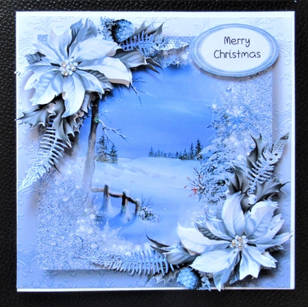Snow Frame Christmas - Blue Snow by Davina Rundle