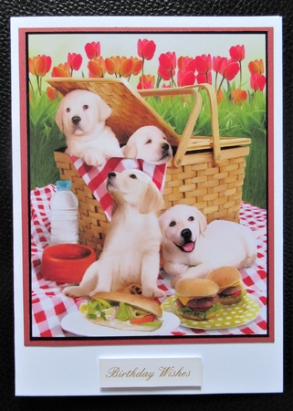 2021 Calendar Picnic Stowaways by Davina Rundle