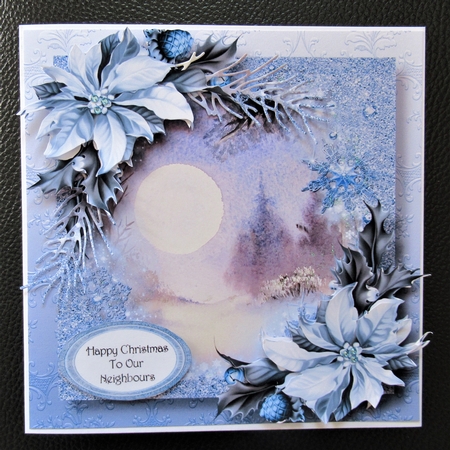 Snow Frame Christmas - Big Winter Moon by Davina Rundle