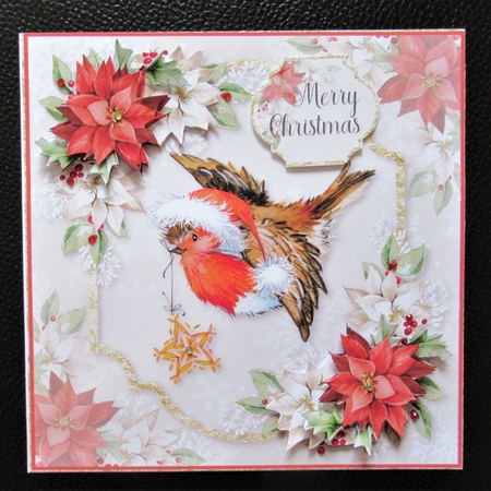 Cute Robin 1 by Davina Rundle
