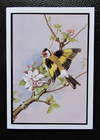 2021 Calendar Goldfinch on Branch by Davina Rundle