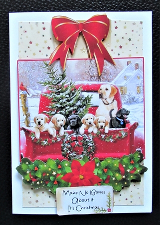 Paws-itively Christmas 6x4 Mini Kit by Davina Rundle