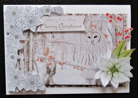 Winter Wildlings 5 6x4 Mini Kit by Davina Rundle