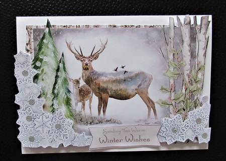 Winter Wildlings 5 6x4 Mini Kit by Davina Rundle