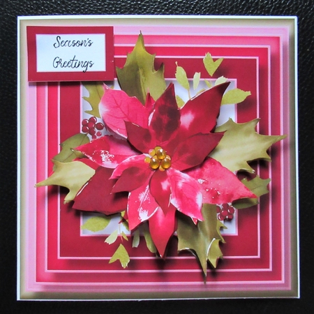 The Scarlet Poinsettia by Davina Rundle