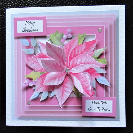 The Pink Poinsettia by Davina Rundle